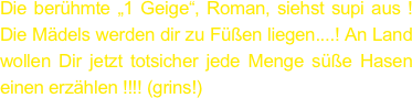Die berühmte „1 Geige“, Roman, siehst supi aus !Die Mädels werden dir zu Füßen liegen....! An Land wollen Dir jetzt totsicher jede Menge süße Hasen einen erzählen !!!! (grins!)