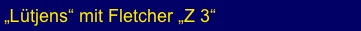 „Lütjens“ mit Fletcher „Z 3“