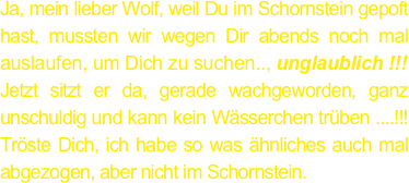 Ja, mein lieber Wolf, weil Du im Schornstein gepoft hast, mussten wir wegen Dir abends noch mal auslaufen, um Dich zu suchen.., unglaublich !!!
Jetzt sitzt er da, gerade wachgeworden, ganz unschuldig und kann kein Wässerchen trüben ....!!! Tröste Dich, ich habe so was ähnliches auch mal abgezogen, aber nicht im Schornstein.